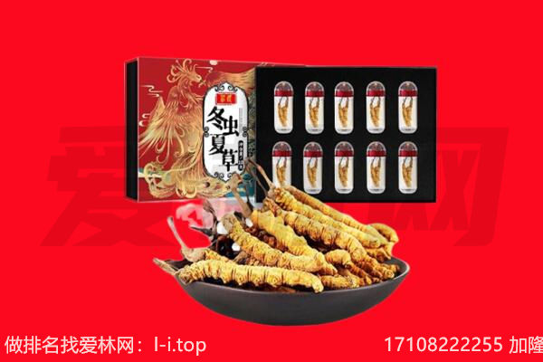 红岗区回收虫草.jpg